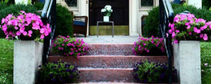 front steps with flowers